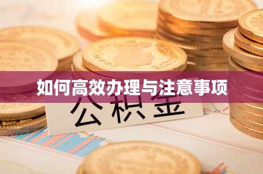 双江如何高效办理与注意事项