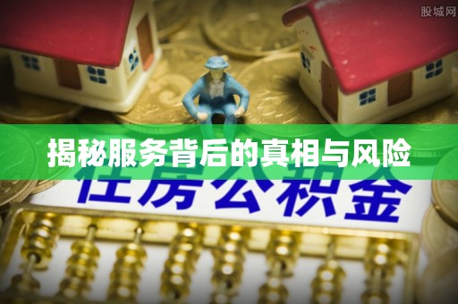 双江揭秘服务背后的真相与风险
