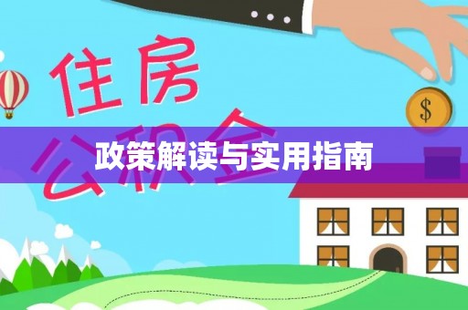 双江政策解读与实用指南