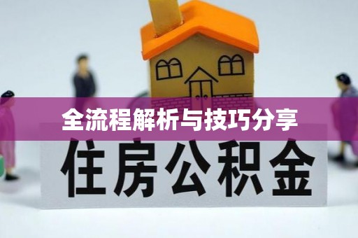 双江全流程解析与技巧分享